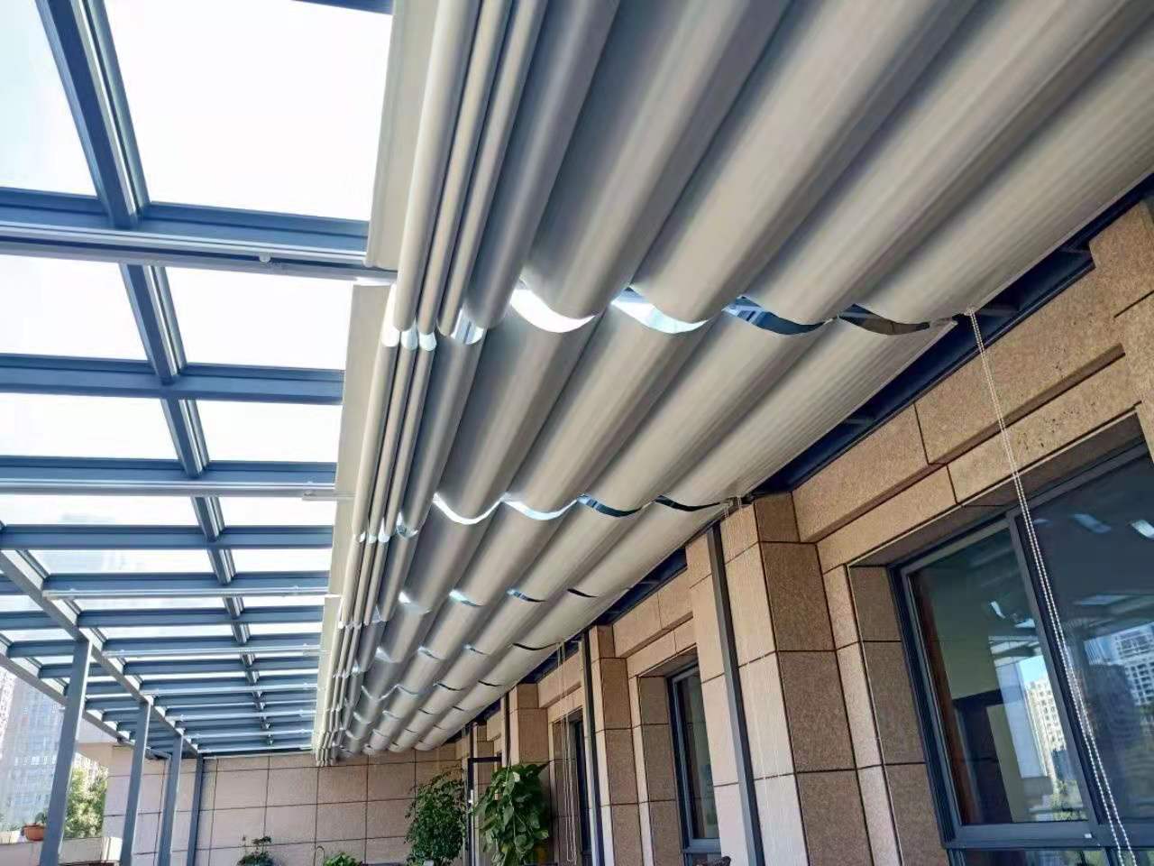 ˫��綯������